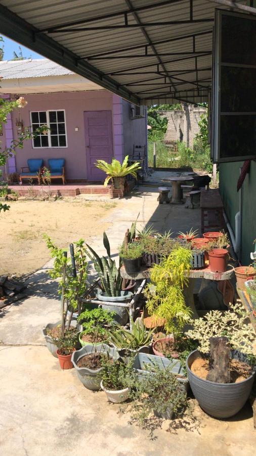 Homestay D Sofia Kuala Terengganu Zewnętrze zdjęcie